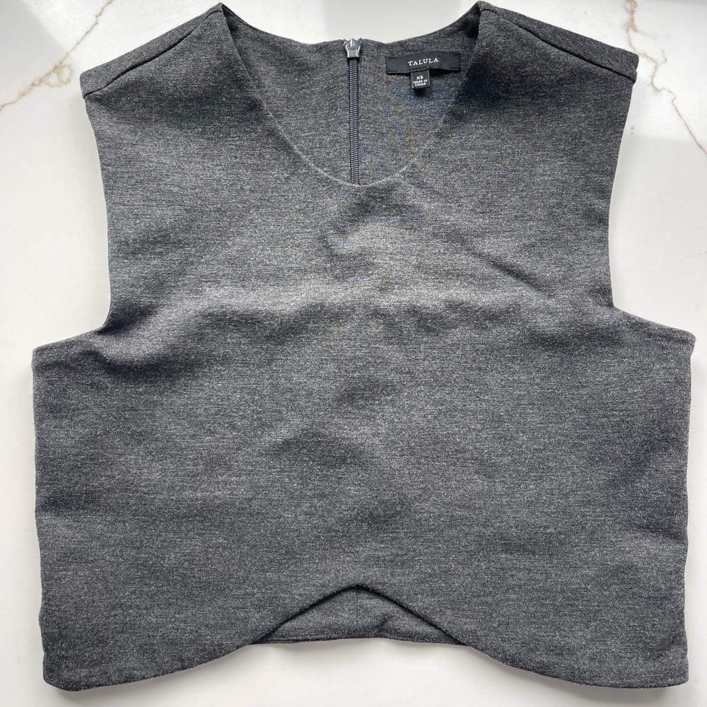 Aritzia Talula Manzanita top